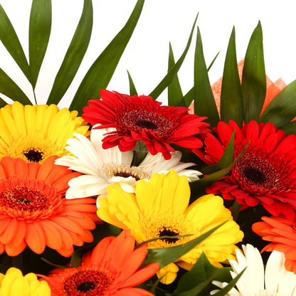 A Gerbera Special Daisy Bouquet